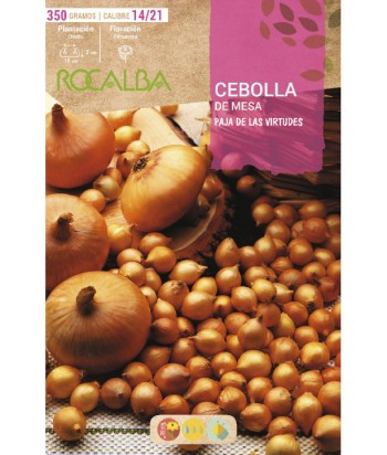 Bulbo de cebolla para plantar variedad "paja virtudes" 350gr - Rocalba