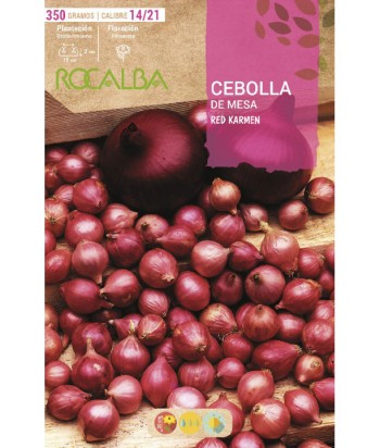 Bulbo de cebolla para plantar variedad "red carmen" 350gr - Rocalba