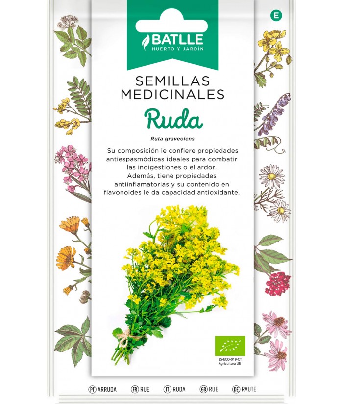 Graines De Rutabaga 'Col Vert' - Batlle - Sachet De 10g (environ 3000 Graines) - Légume Racine D'automne-hiver Rustique